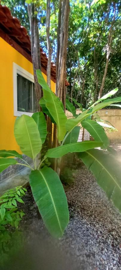 Chale Jacu Pipa Holiday home Praia de Pipa
